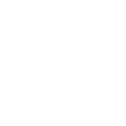 Navigare srl mostre Arte & Cultura