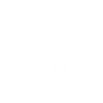 Logo navigare