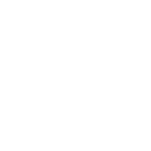 Navigare srl mostre Arte & Cultura